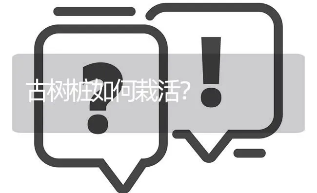 古树桩如何栽活? | 养殖问题解答