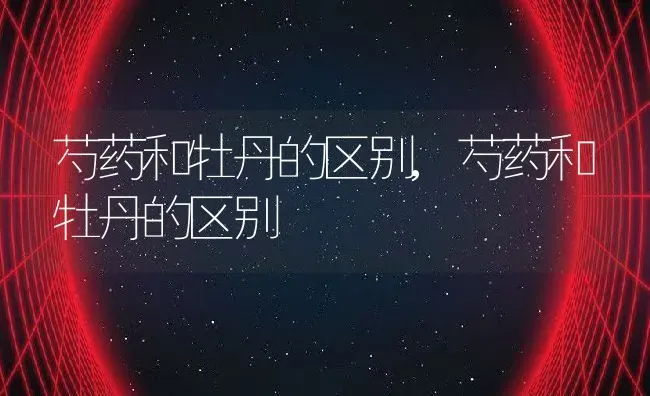 芍药和牡丹的区别,芍药和牡丹的区别 | 养殖常见问题
