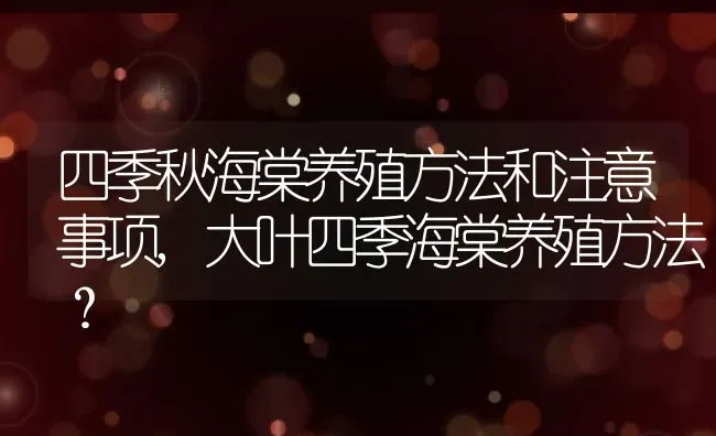 四季秋海棠养殖方法和注意事项,大叶四季海棠养殖方法? | 养殖常见问题