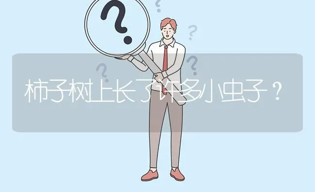 柿子树上长了许多小虫子? | 养殖问题解答