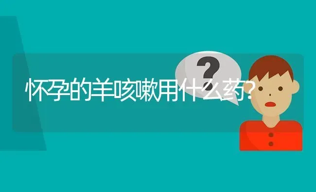 怀孕的羊咳嗽用什么药? | 养殖问题解答