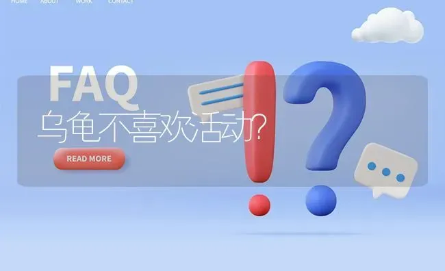 乌龟不喜欢活动? | 养殖问题解答