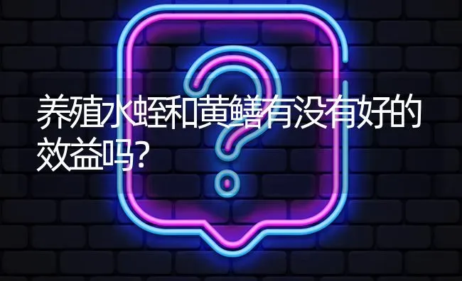 养殖水蛭和黄鳝有没有好的效益吗? | 养殖问题解答