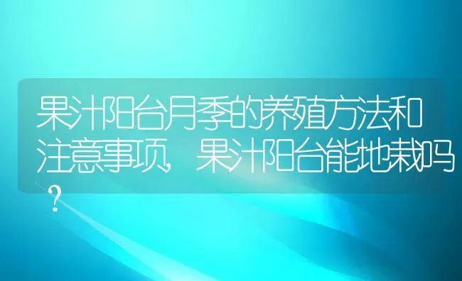 果汁阳台月季的养殖方法和注意事项,果汁阳台能地栽吗？ | 养殖常见问题