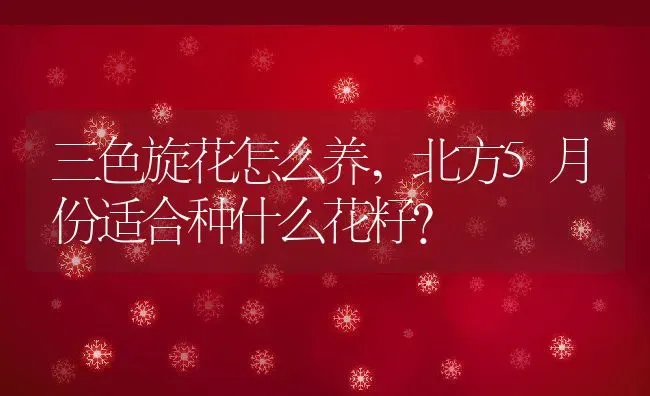 三色旋花怎么养,北方5月份适合种什么花籽？ | 养殖常见问题