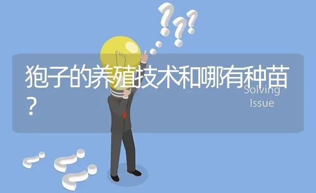 狍子的养殖技术和哪有种苗? | 养殖问题解答