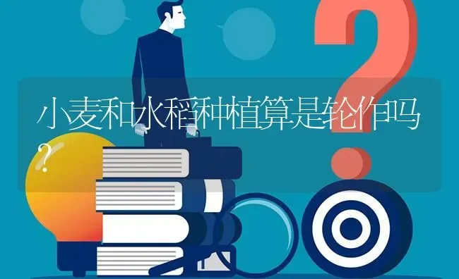小麦和水稻种植算是轮作吗? | 养殖问题解答