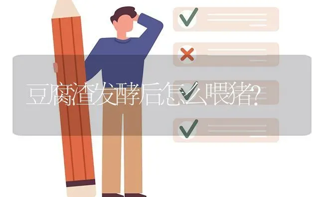 豆腐渣发酵后怎么喂猪? | 养殖问题解答