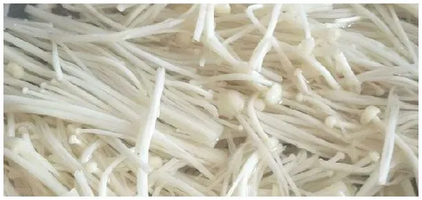 金针菇和黄花菜的区别 | 三农答疑