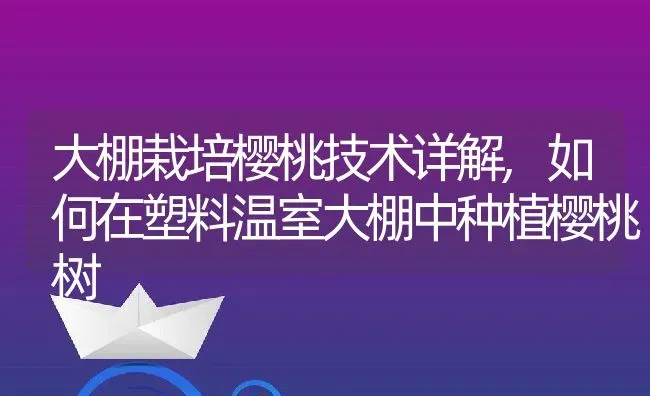 大棚栽培樱桃技术详解,如何在塑料温室大棚中种植樱桃树 | 养殖常见问题