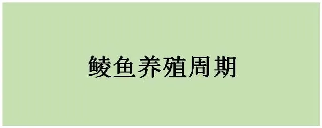 鲮鱼养殖周期 | 三农问答