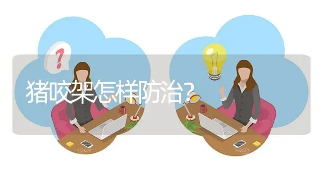 猪咬架怎样防治? | 养殖问题解答