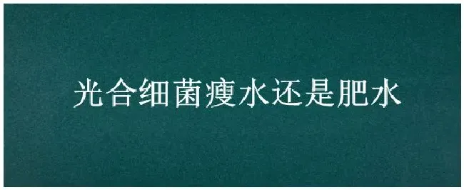 光合细菌瘦水还是肥水 | 农业问题