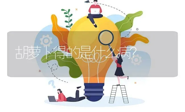 胡萝卜得的是什么病? | 养殖问题解答