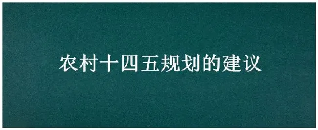 农村十四五规划的建议 | 农业常识