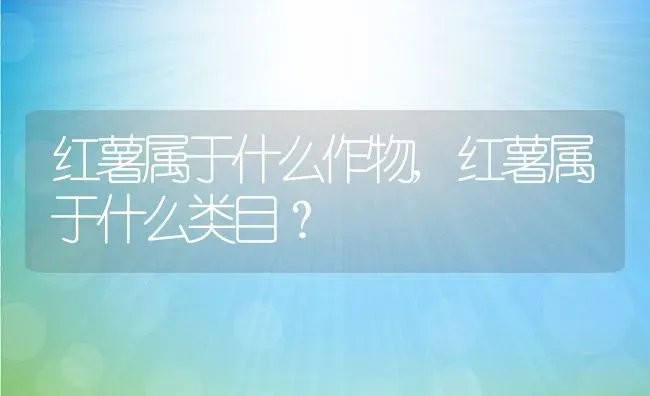 红薯属于什么作物,红薯属于什么类目？ | 养殖常见问题