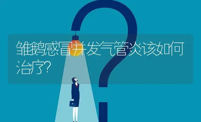 雏鹅感冒并发气管炎该如何治疗? | 养殖问题解答