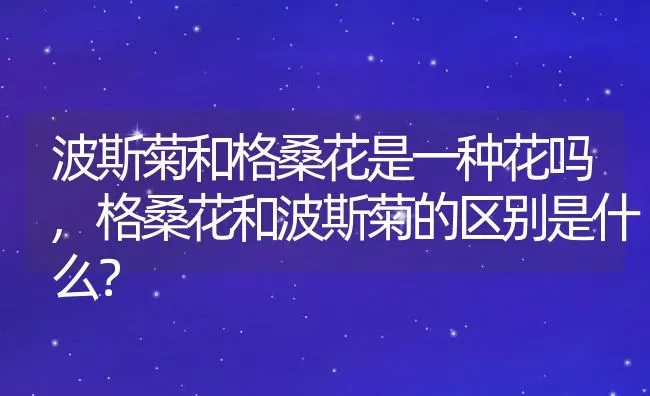 波斯菊和格桑花是一种花吗,格桑花和波斯菊的区别是什么？ | 养殖常见问题