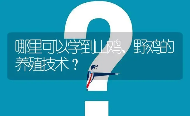 哪里可以学到山鸡、野鸡的养殖技术? | 养殖问题解答