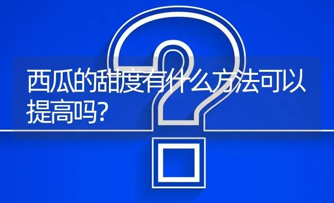 西瓜的甜度有什么方法可以提高吗? | 养殖问题解答