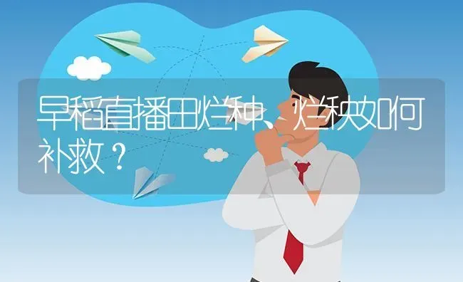 早稻直播田烂种、烂秧如何补救? | 养殖问题解答