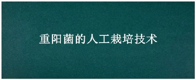 重阳菌的人工栽培技术 | 农业常识