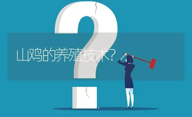 山鸡的养殖技术? | 养殖问题解答