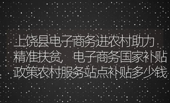 上饶县电子商务进农村助力精准扶贫,电子商务国家补贴政策农村服务站点补贴多少钱 | 养殖常见问题