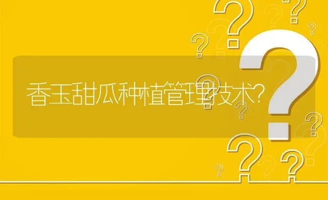 香玉甜瓜种植管理技术? | 养殖问题解答