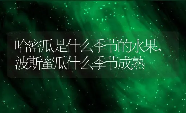 哈密瓜是什么季节的水果,波斯蜜瓜什么季节成熟 | 养殖常见问题