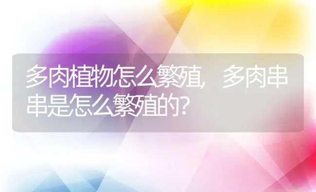 多肉植物怎么繁殖,多肉串串是怎么繁殖的？ | 养殖常见问题