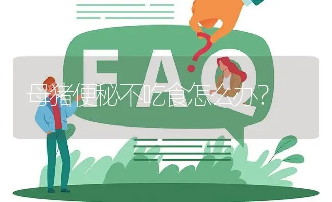 母猪便秘不吃食怎么办? | 养殖问题解答