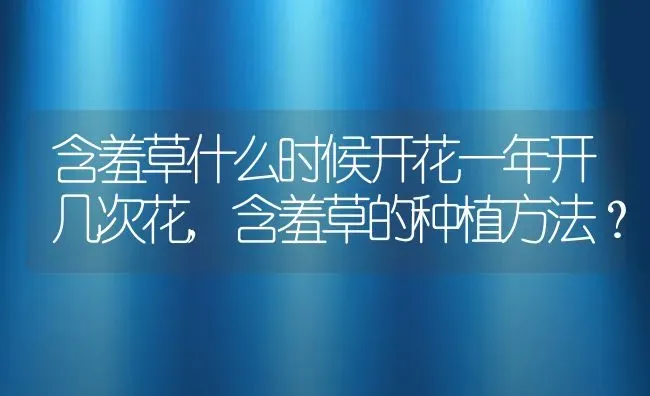 含羞草什么时候开花一年开几次花,含羞草的种植方法？ | 养殖常见问题