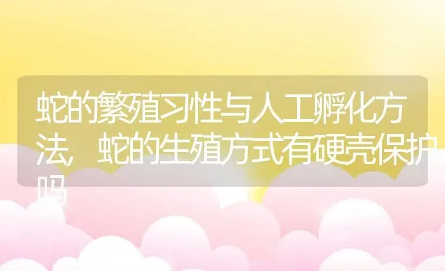 蛇的繁殖习性与人工孵化方法,蛇的生殖方式有硬壳保护吗 | 养殖常见问题