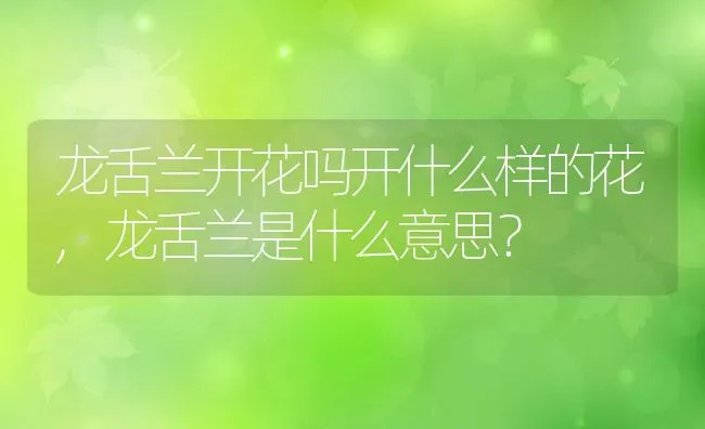 龙舌兰开花吗开什么样的花,龙舌兰是什么意思？ | 养殖常见问题