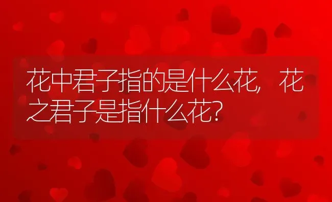 花中君子指的是什么花,花之君子是指什么花？ | 养殖常见问题