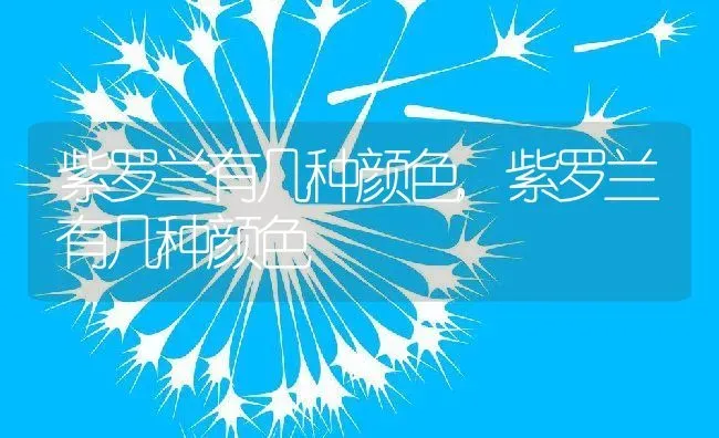 紫罗兰有几种颜色,紫罗兰有几种颜色 | 养殖常见问题