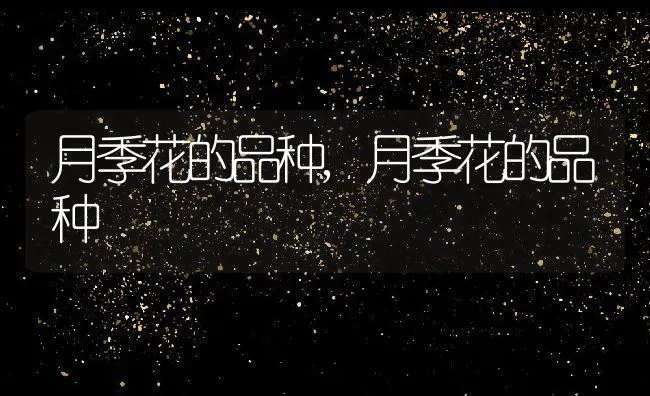 月季花的品种,月季花的品种 | 养殖常见问题