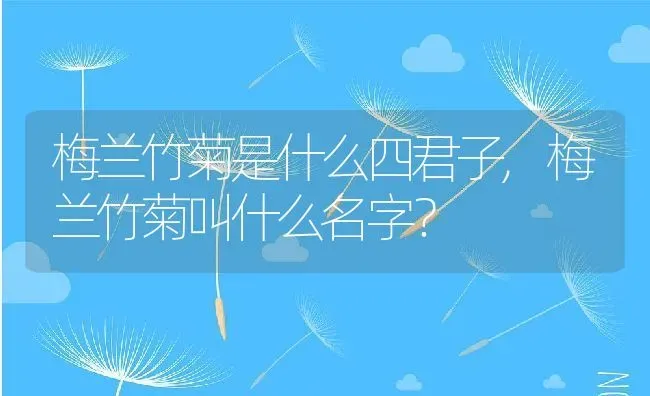 梅兰竹菊是什么四君子,梅兰竹菊叫什么名字？ | 养殖常见问题