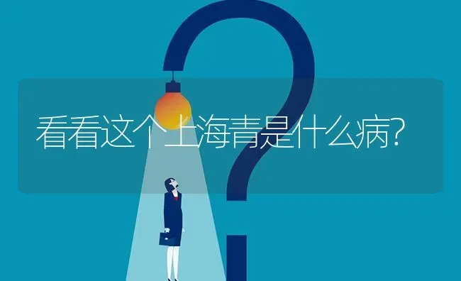 看看这个上海青是什么病? | 养殖问题解答