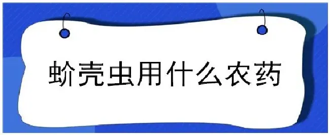 蚧壳虫用什么农药 | 三农答疑