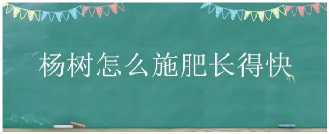 杨树怎么施肥长得快 | 农业答疑