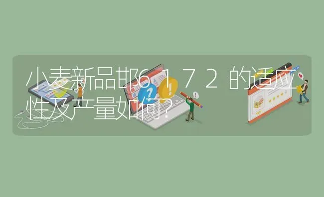 小麦新品邯6172的适应性及产量如何? | 养殖问题解答