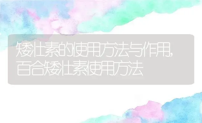 生日送什么花给女生好,女性朋友生日送什么花？ | 养殖常见问题