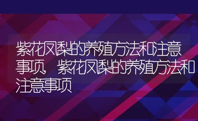 紫花凤梨的养殖方法和注意事项,紫花凤梨的养殖方法和注意事项 | 养殖常见问题