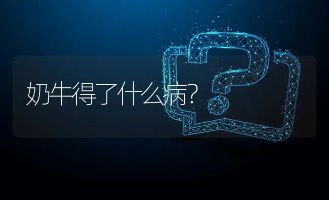 奶牛得了什么病? | 养殖问题解答