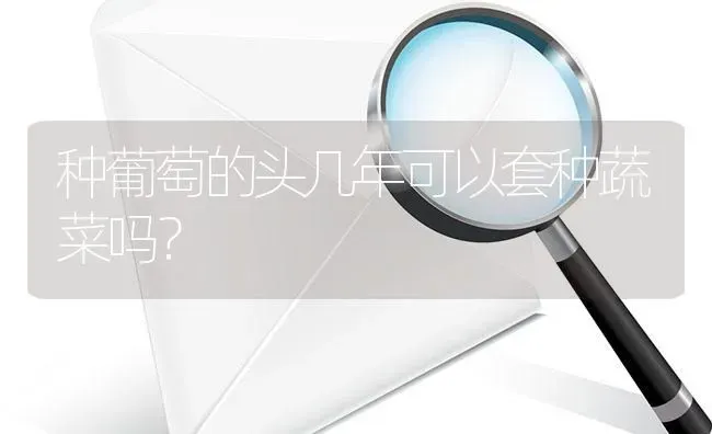 种葡萄的头几年可以套种蔬菜吗? | 养殖问题解答