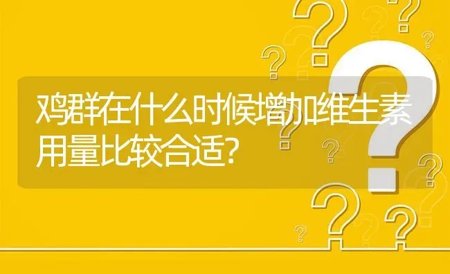 鸡群在什么时候增加维生素用量比较合适? | 养殖问题解答