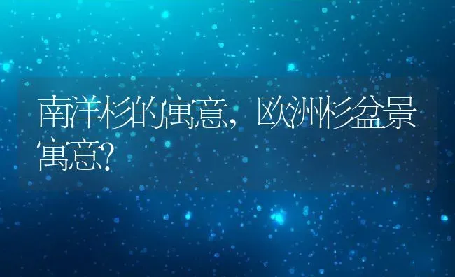南洋杉的寓意,欧洲杉盆景寓意？ | 养殖常见问题