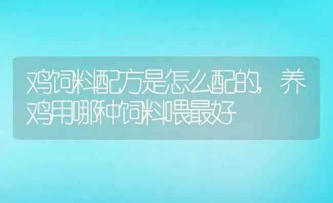 鸡饲料配方是怎么配的,养鸡用哪种饲料喂最好 | 养殖常见问题